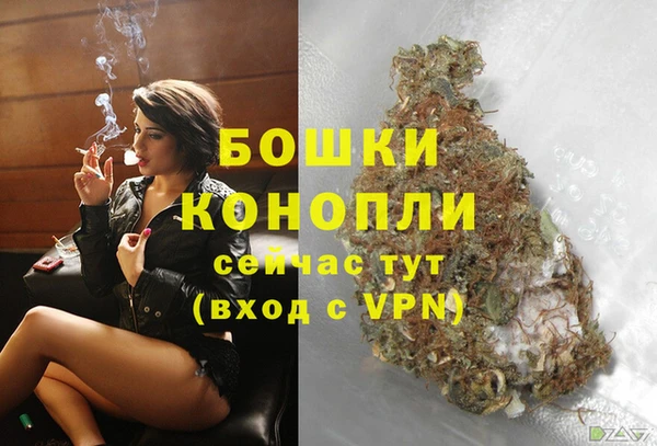 шишки Бабаево